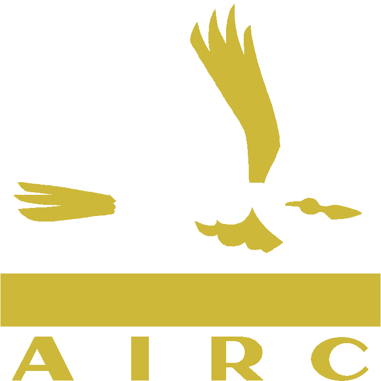 Athens Immigrant Rights Coalition